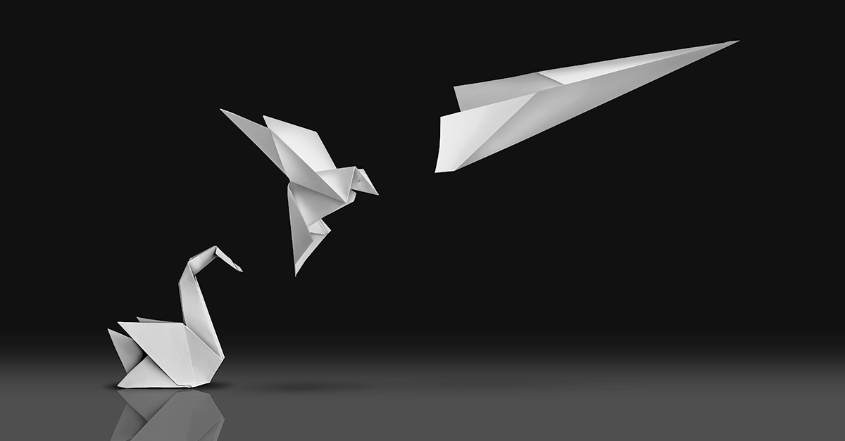 success_transformation_paper_birds_1200x627